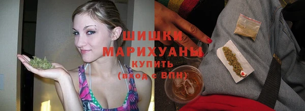 дурь Богородицк