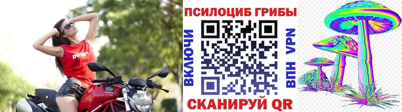 цена наркотик  Пионерский  Псилоцибиновые грибы ЛСД 